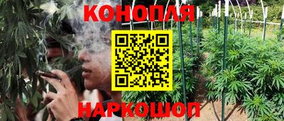 ПСИЛОЦИБИНОВЫЕ ГРИБЫ Коммунар