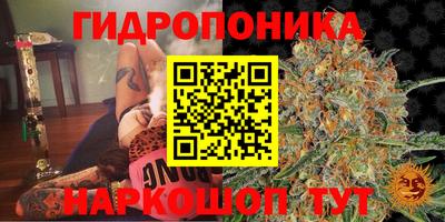 ПСИЛОЦИБИНОВЫЕ ГРИБЫ Коммунар