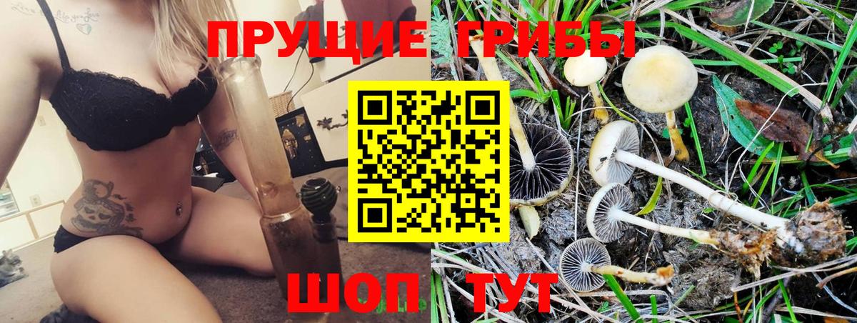 Балашов  Галлюциногенные грибы Cubensis  Вход с VPN  Псилоцибиновые грибы прущие грибы 